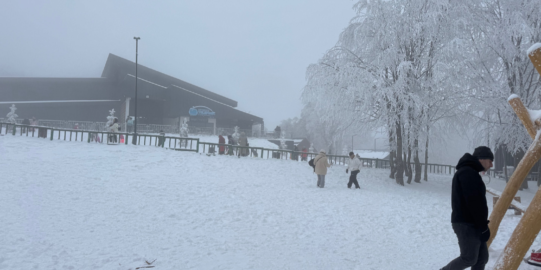 Зимняя сказка в часе езды от Стамбула: наша поездка в горы со школой