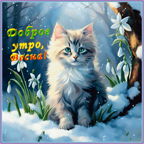 ФОТО: 3d-GALLERY