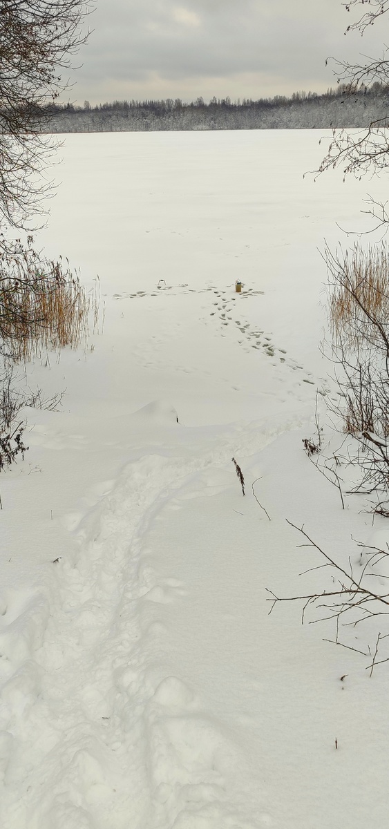 Вода под снегом