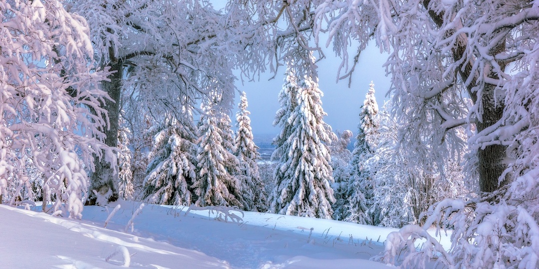 Вихри белой красоты