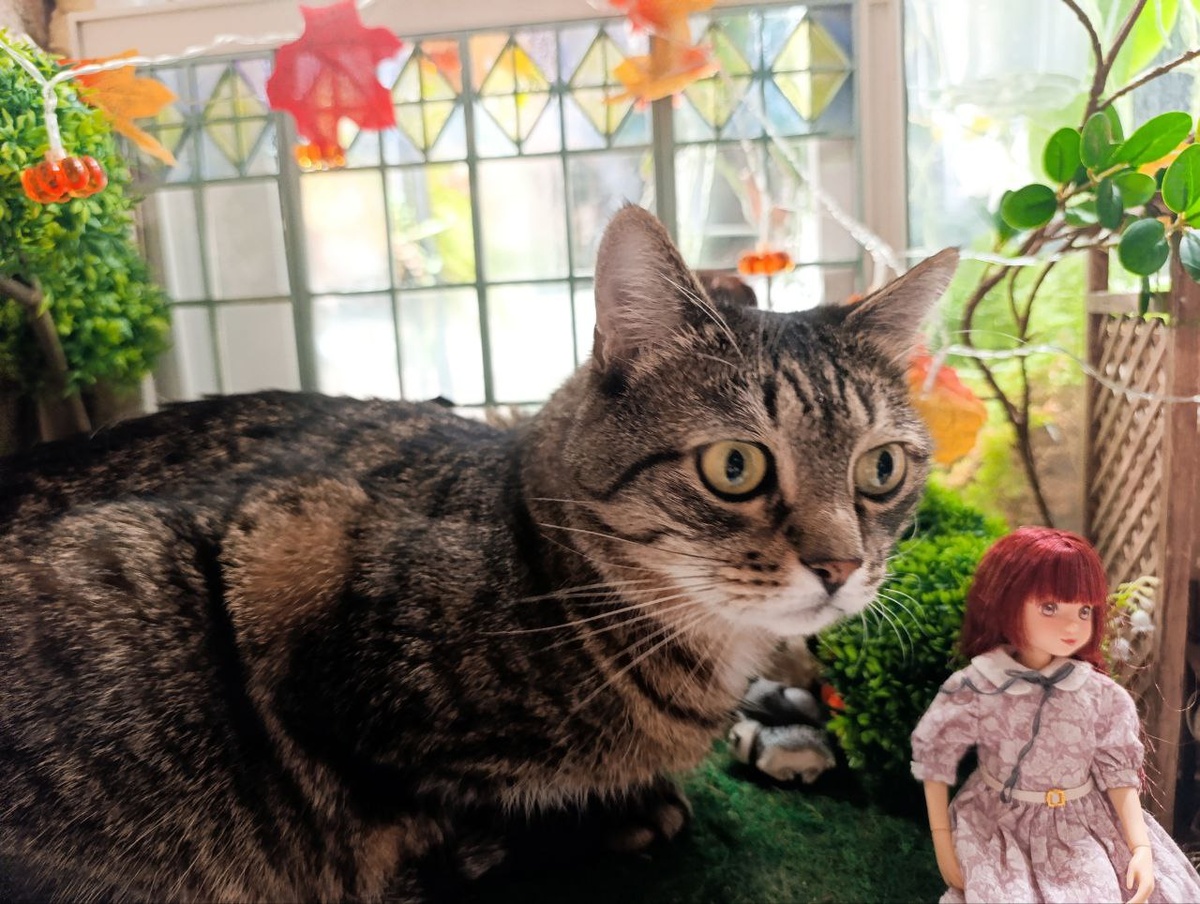 И про меня будет? (Маруся)