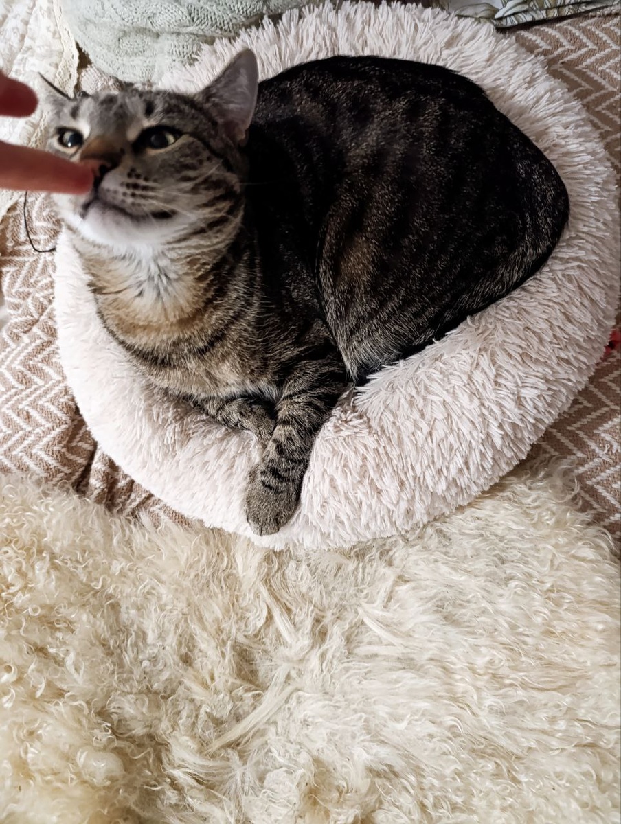 И про меня расскажи! (Буся)