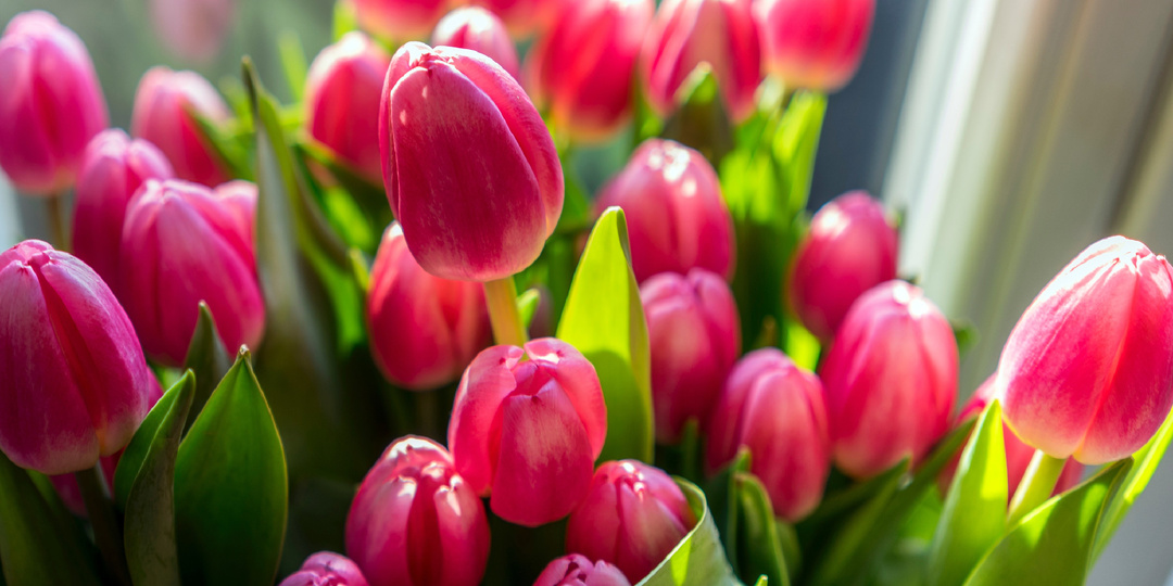 Потрясающий аромат с нотой тюльпана, о котором мало кто знает