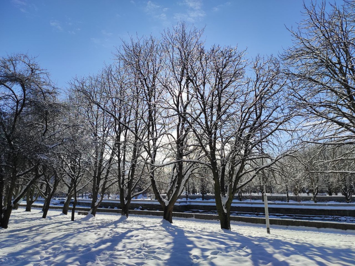 Фото из личного архива