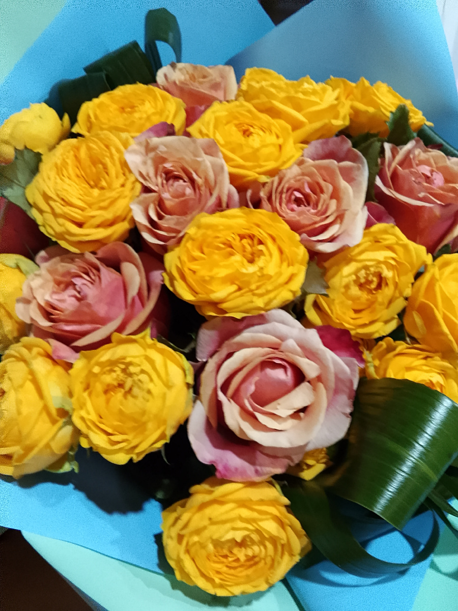 Я очень люблю своих родны