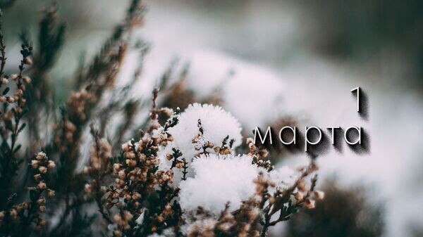    © Photo : Georgi Petrov: Pexels