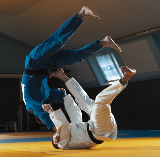 Под "building" в приведённом примере подразумевается татами.