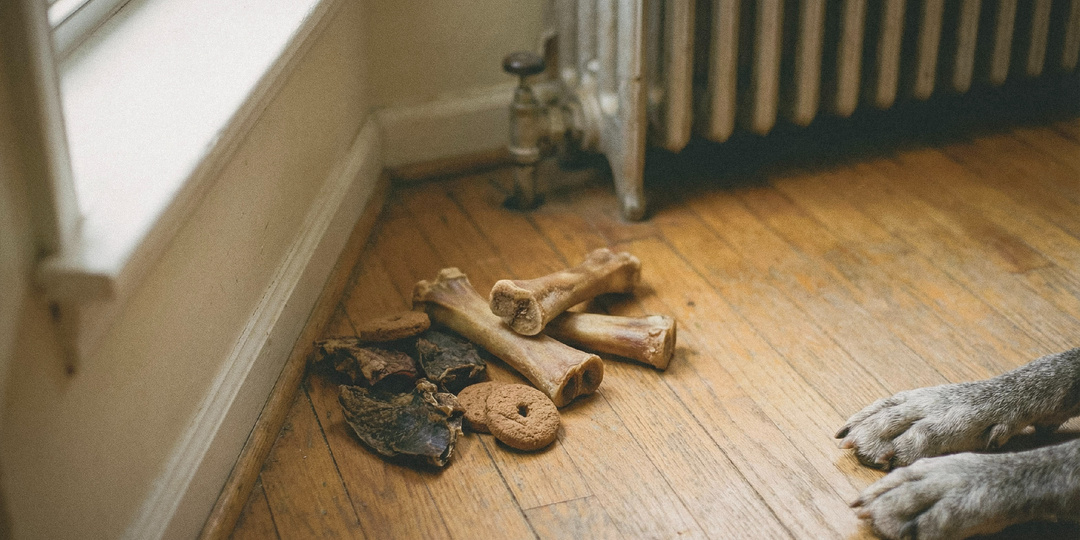 Прощальный подарок от старого пса