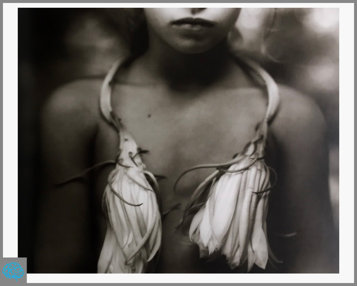 Sally Mann: Immediate Family
