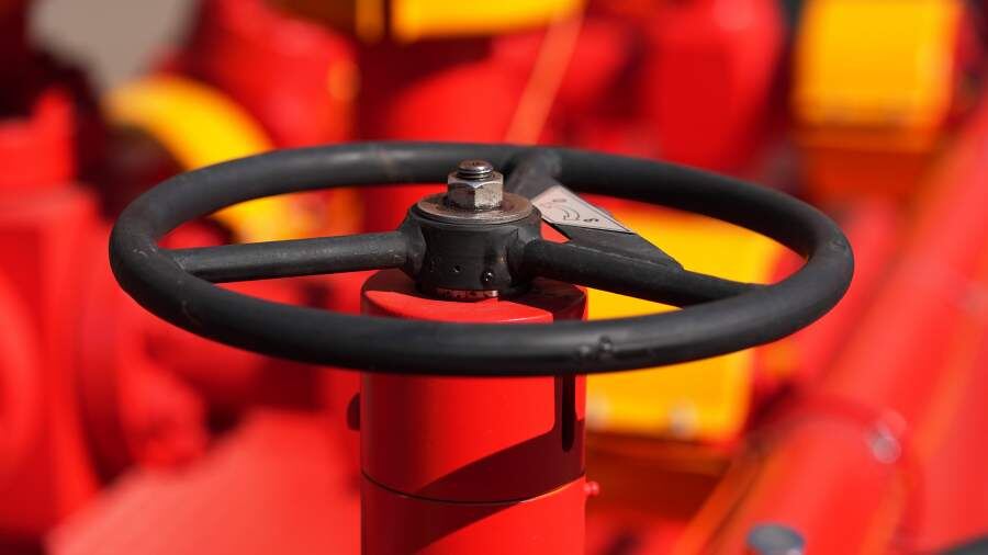    Фото: ИЗВЕСТИЯ/Дмитрий Коротаев