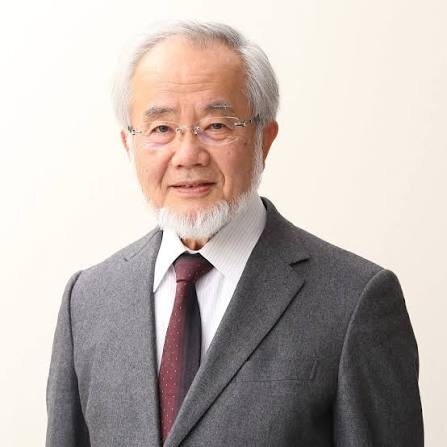 Ёсинори Осуми (род. 9 февраля 1945 г.) — выдающийся японский учёный, молекулярный биолог, удостоенный Нобелевской премии по физиологии и медицине в 2016 году за открытие механизмов аутофагии. Фото: Pinterest.com