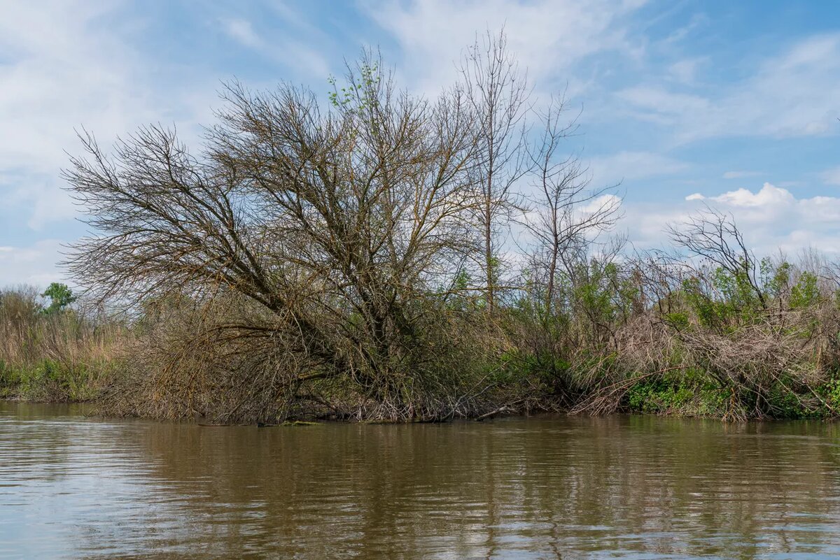    Источник изображения: ItRussia.Media