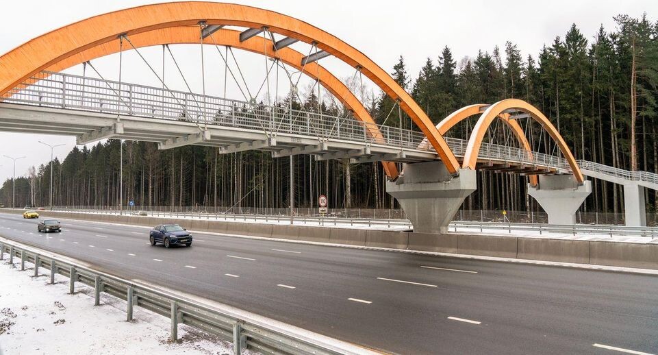    медиасток.рф