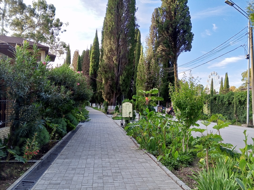 Новый Афон, старое фото. Центральная улица