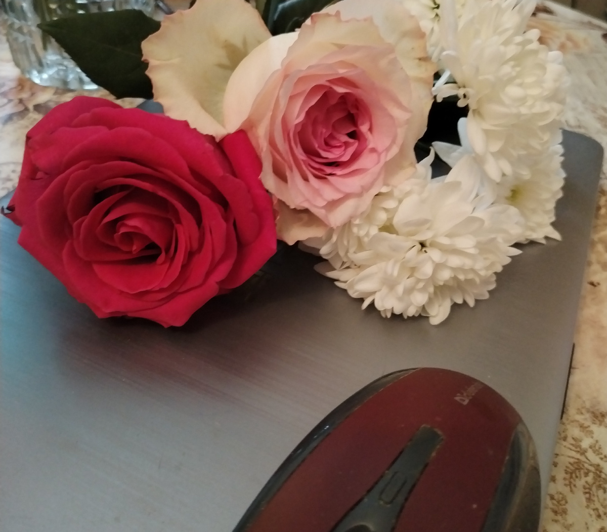 СЛОВАМ И ВПЕЧАТЛЕНИЯМ - ЦВЕТЫ И ТРУДЫ, из личных фото автора Лидии Шатиловой