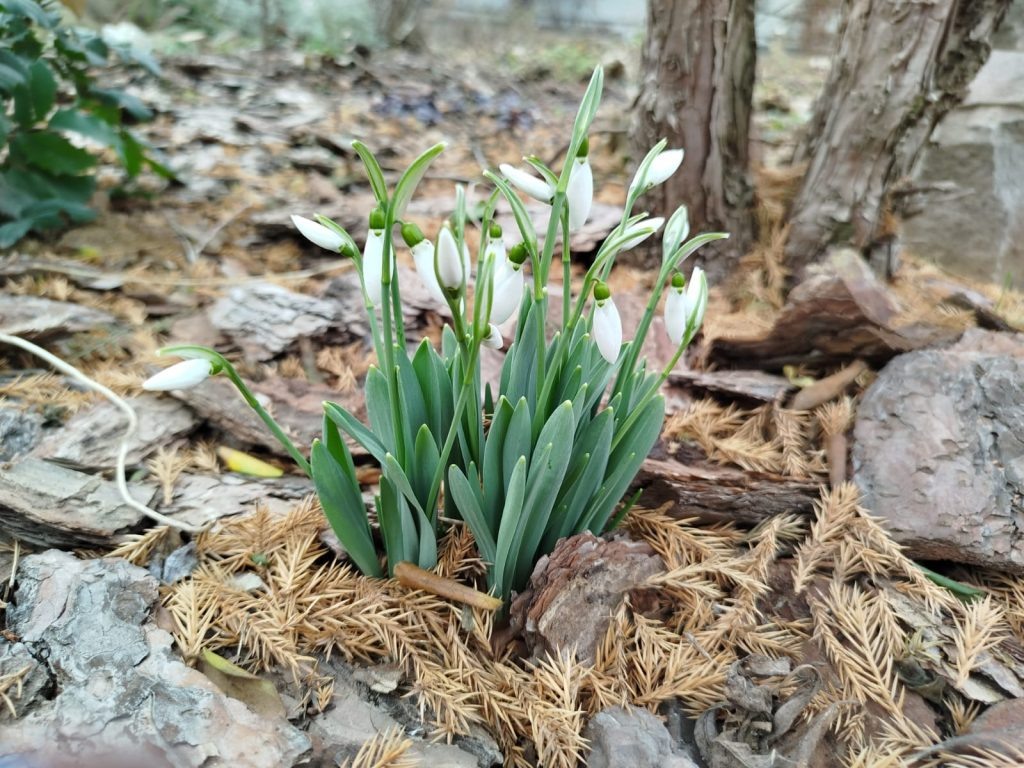    Фото: В. Палкина. Галина Ященко