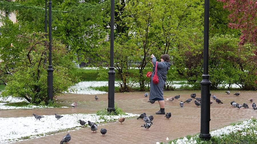    Фото: ИЗВЕСТИЯ/Эдуард Корниенко
