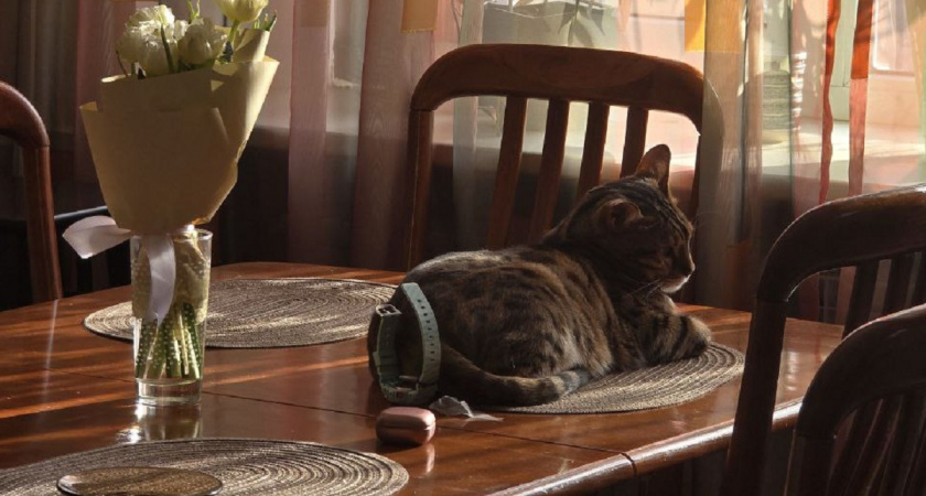    Фото Анастасии Дмитриевой