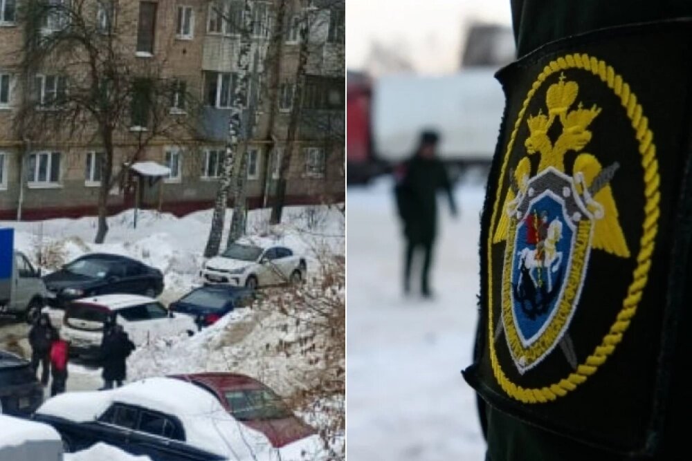    Следователем следственного отдела по г. Подольск ГСУ СК России по Московской области возбуждено уголовное дело по факту гибели 11-летнего мальчика (ч.2 ст.216 УК РФ). Фото: Коллаж АиФ