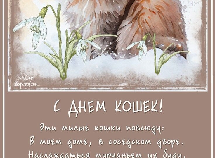 С Днём кошек!