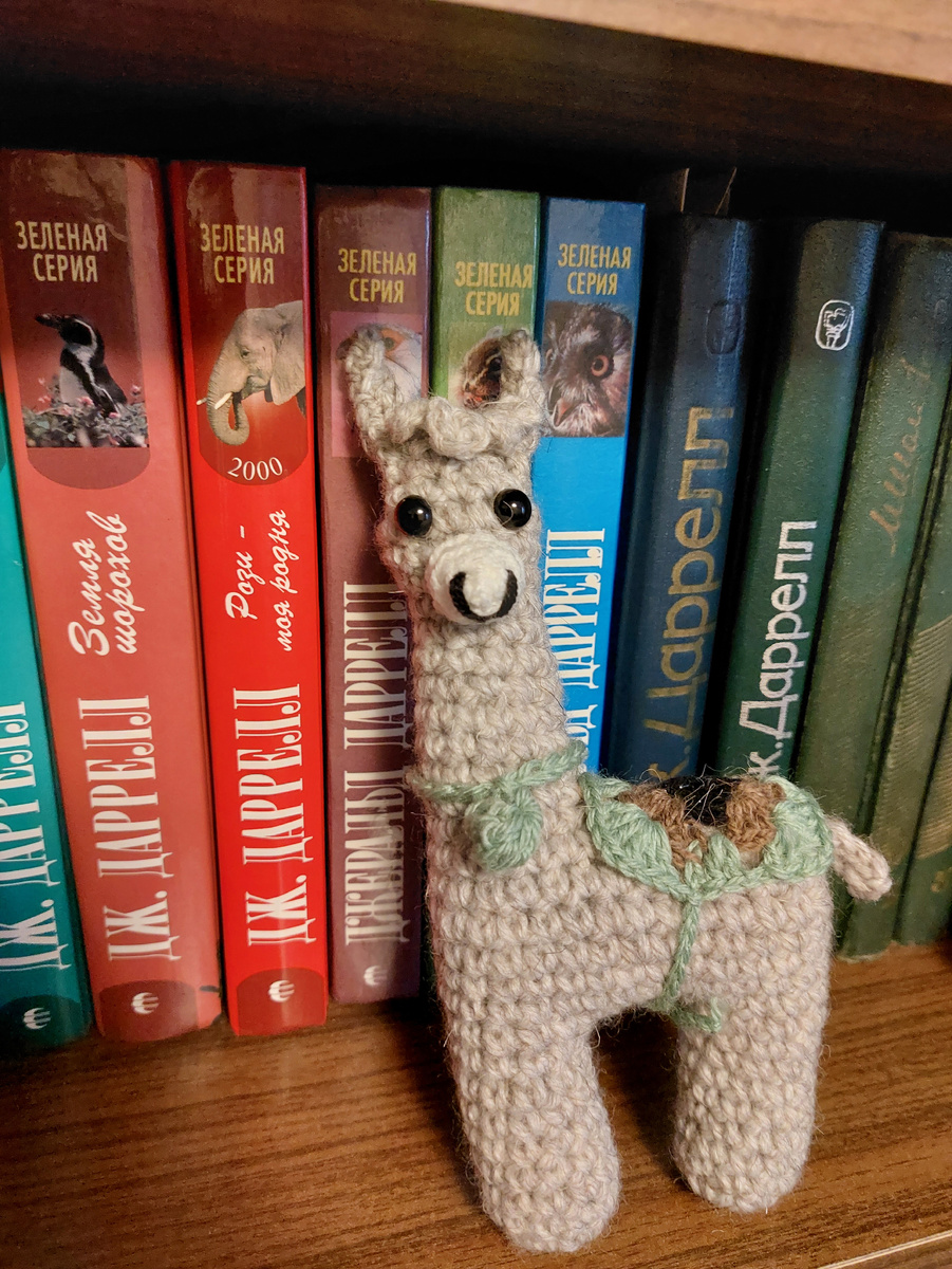 Фото автора