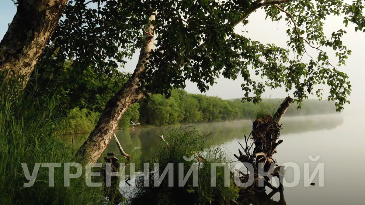 Авторское фото «Раннее утро на озере»