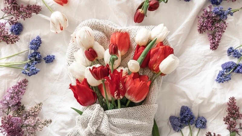      Фото: @pvproductions / ru.freepik.com