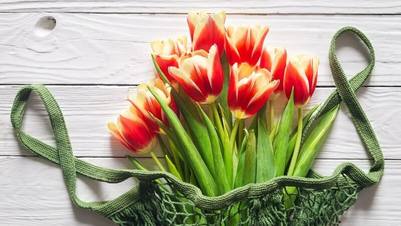    охота на «свежачка»: учимся сканировать цветы как профи Фото: @pvproductions / ru.freepik.com