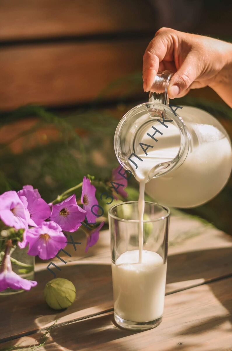 У нас исключительно козье молоко