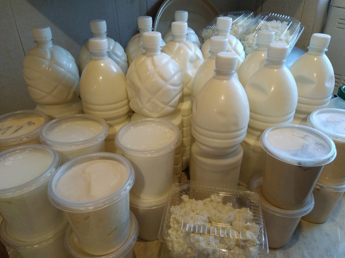 Продукты из козьего молока: йогурт, ряженка, творог