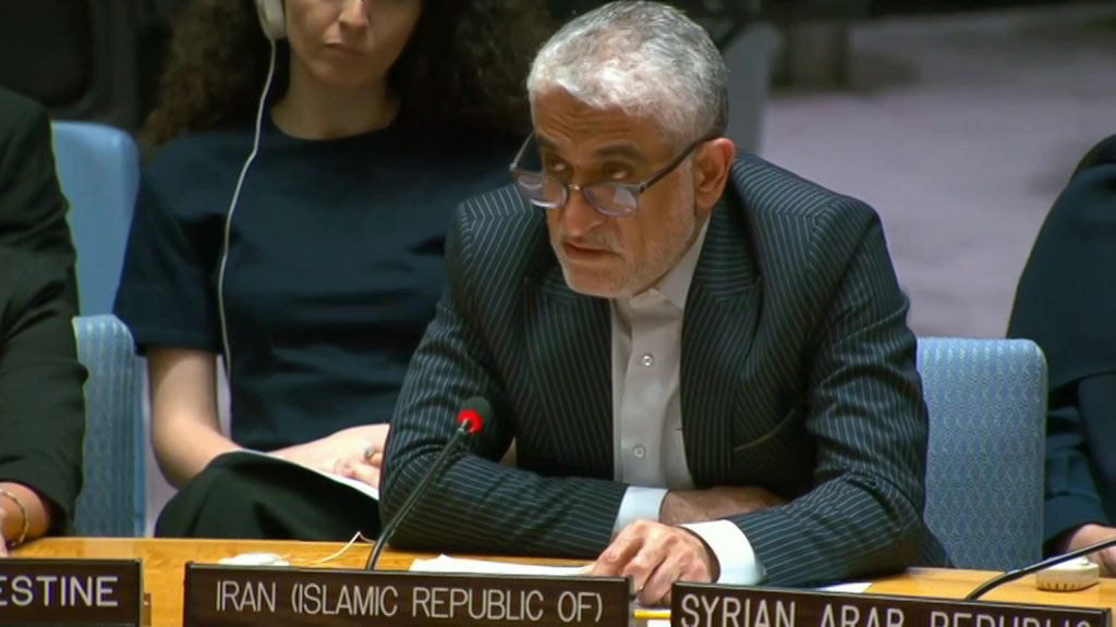    Совбез Совет Безопасности Амир Саид Ирвани 2024 (P24)