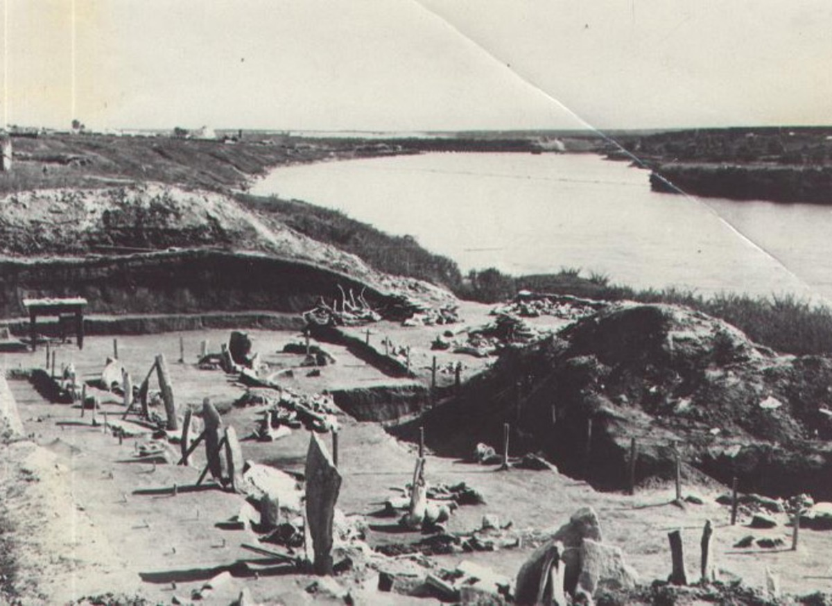 Раскопки М. М. Герасимовым Мальтинской палеолитической стоянки, 1957 г. 