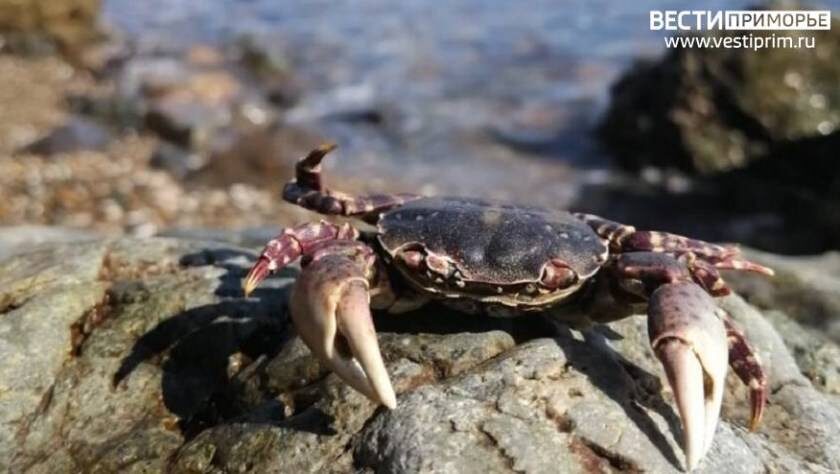    Источник фото: