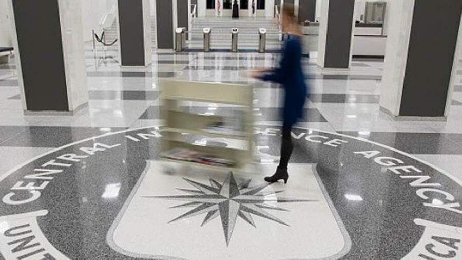    Фото: Global Look Press/cia/Twitter.com