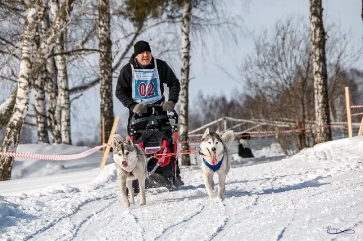    Андрей Томилов со своими собаками