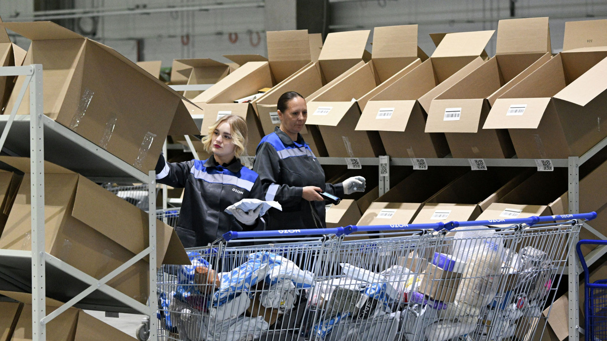    Маркетплейс озон склад товары РИА