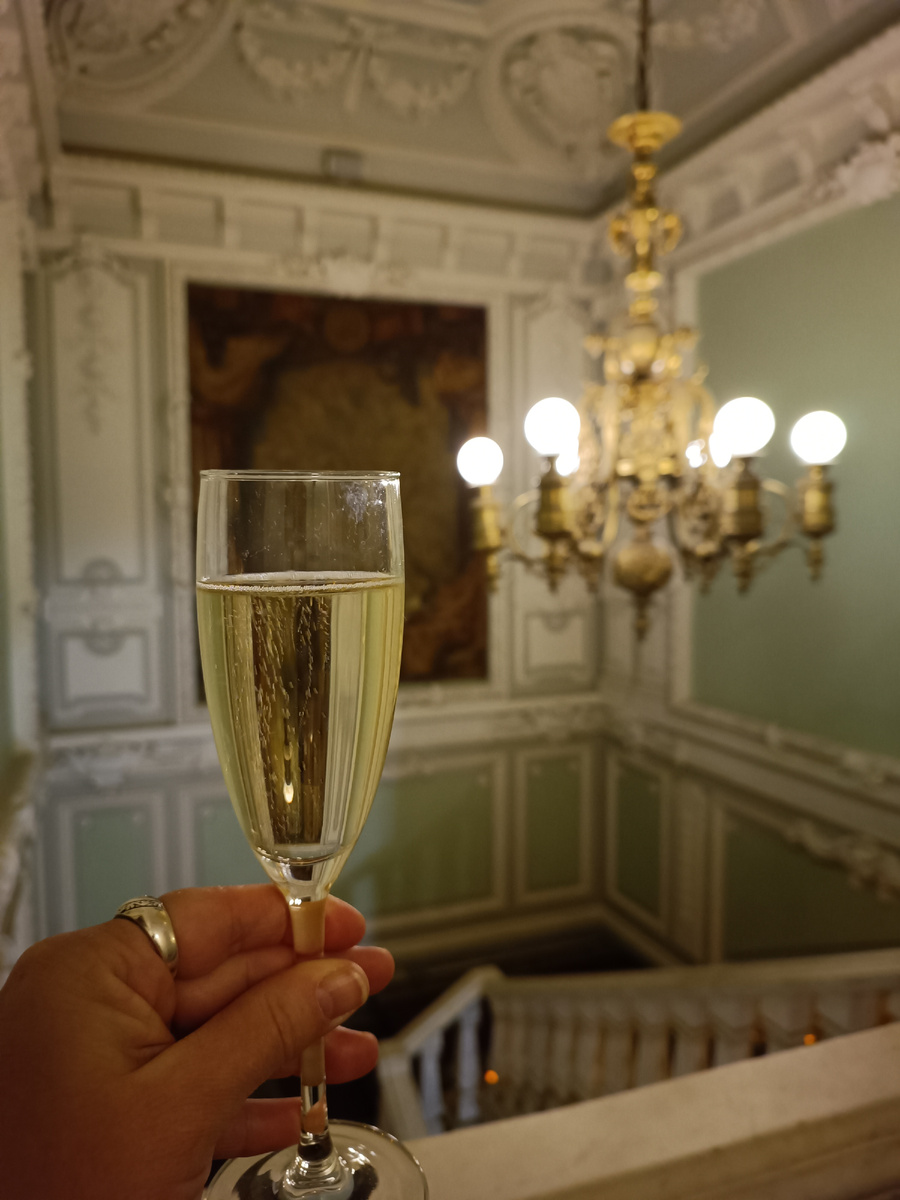 Особняк Половцовых. Фото автора.