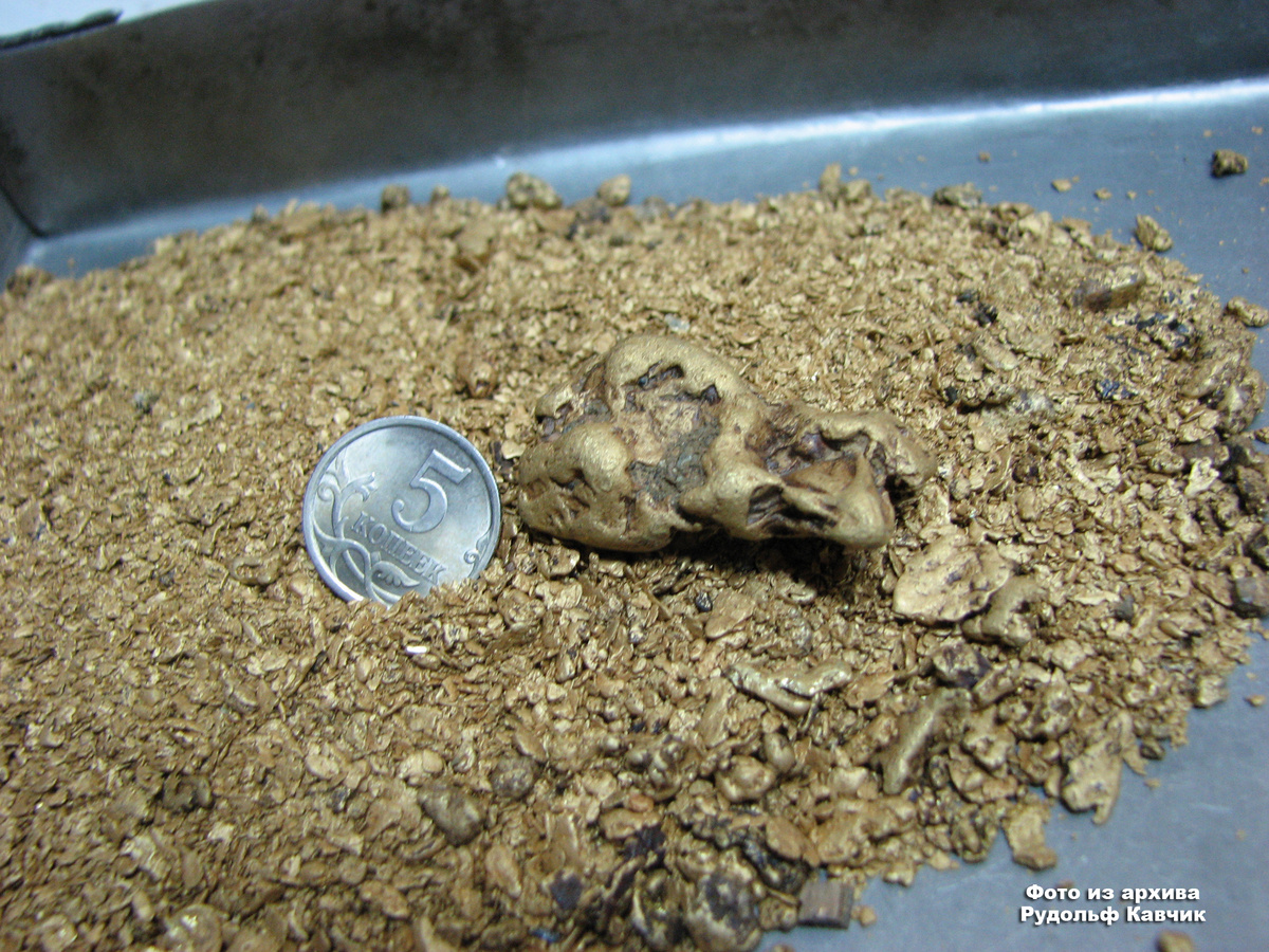 Золото, которое мог бы добыть каждый вольный саратель. 