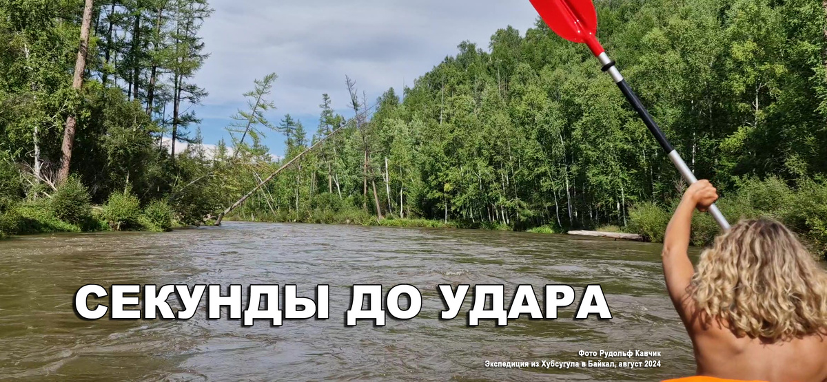 Жизнь - это приключения! 