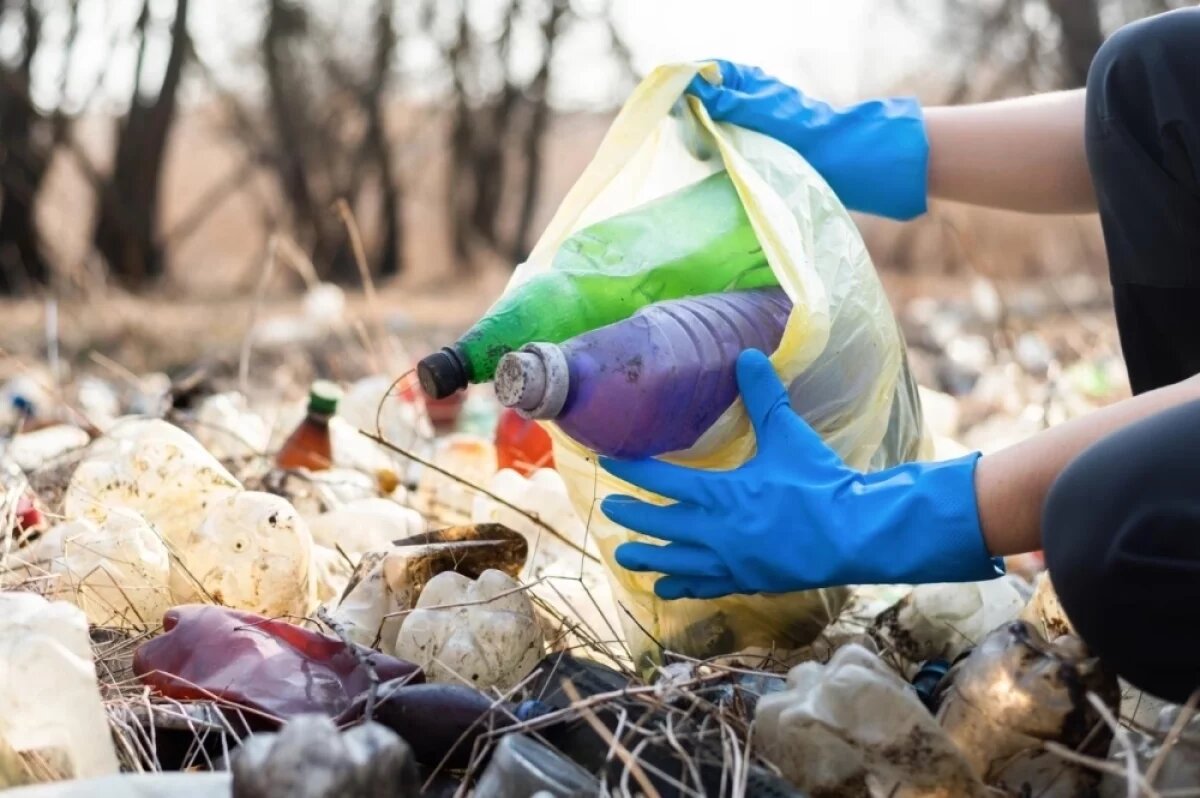    Мусор по графику.