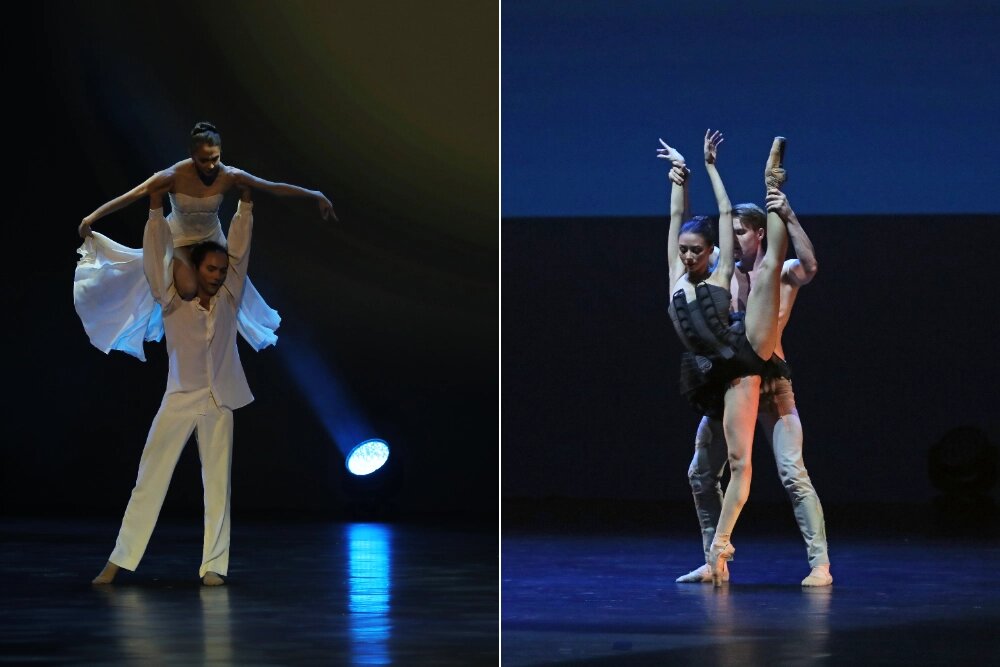    Фото: Коллаж АиФ/ Андрей Степанов