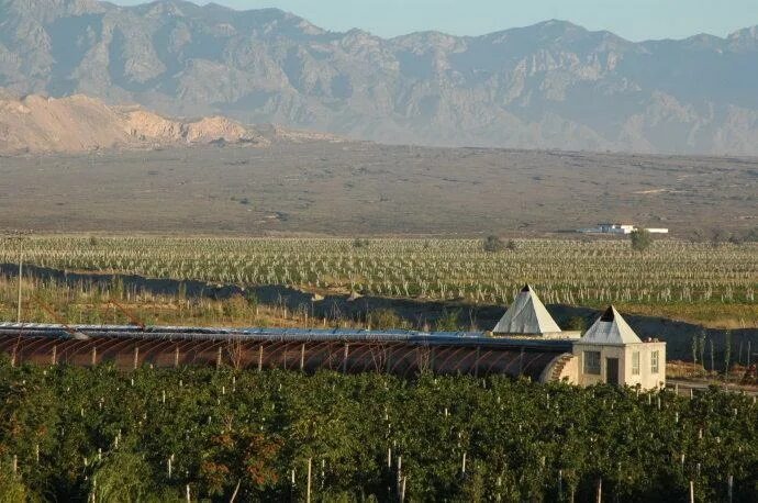 Китайский терруар у подножия горы Хэланьшань дарит удивительно глубокий вкус