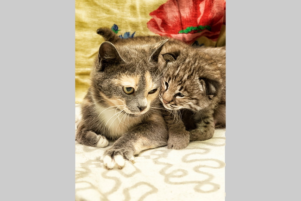    Фото: Андрей Поляков