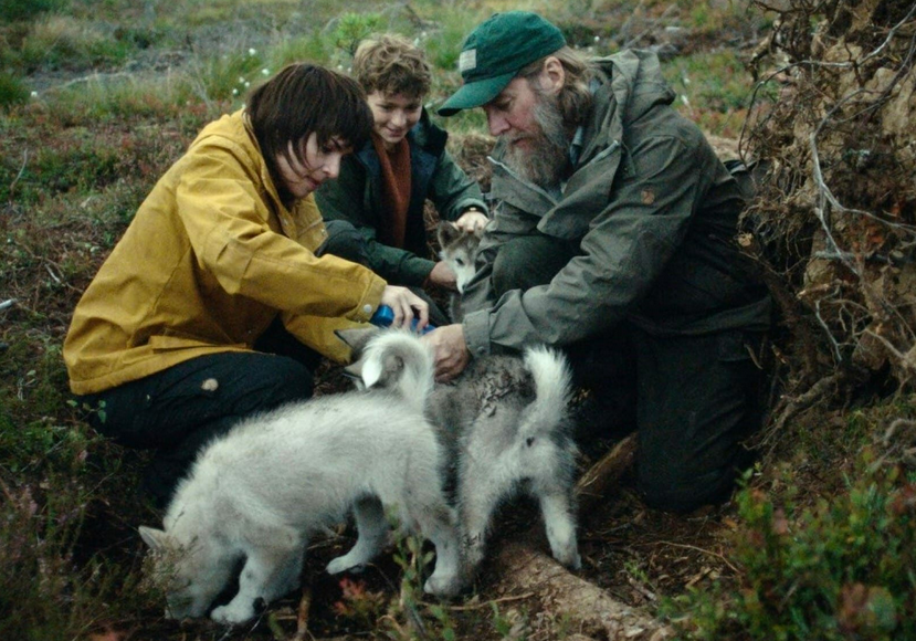 Сериал "Фэнрис", Норвегия, 2022 год