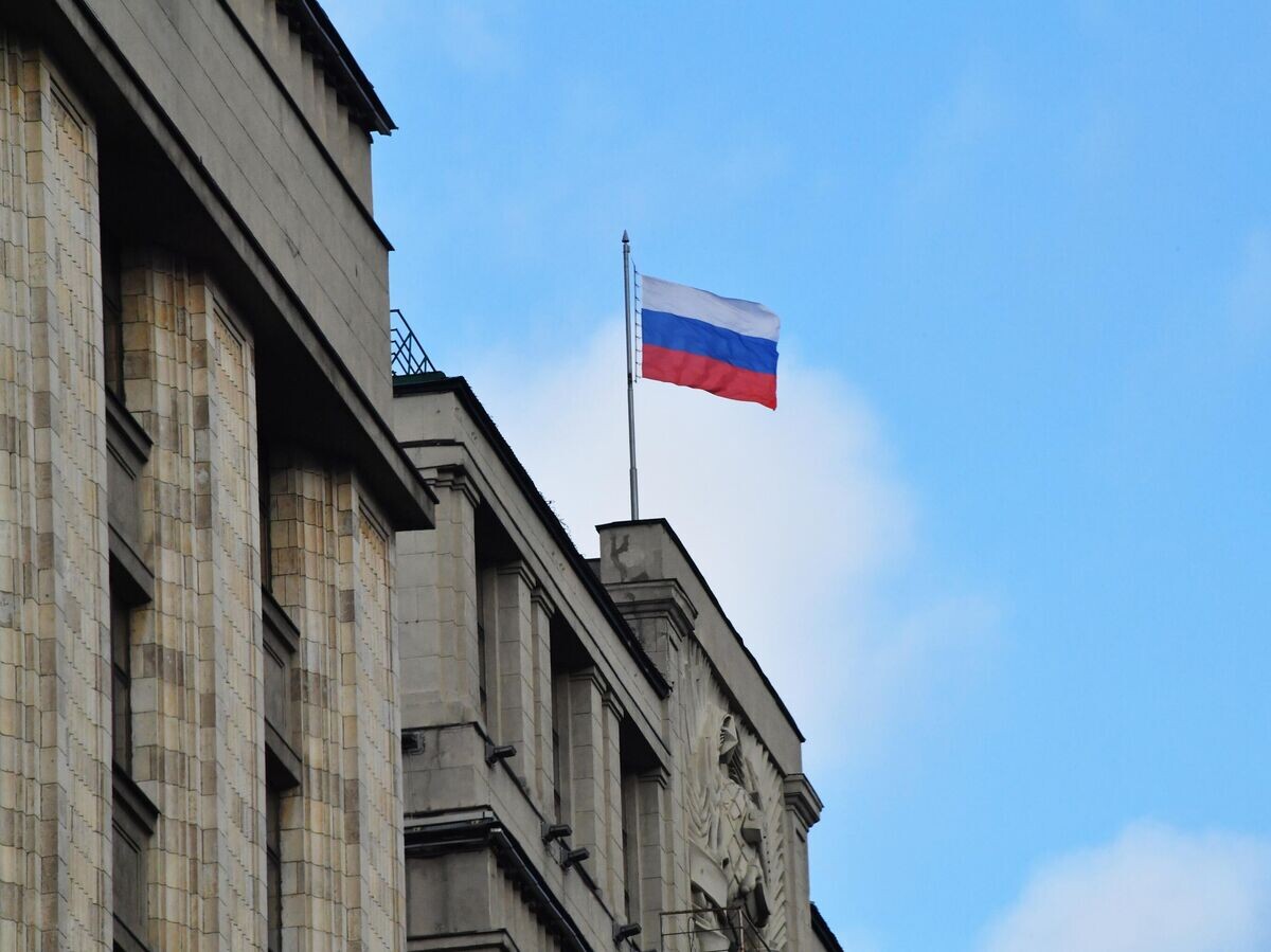    Здание Государственной Думы РФ в Москве© РИА Новости . Наталья Селиверстова