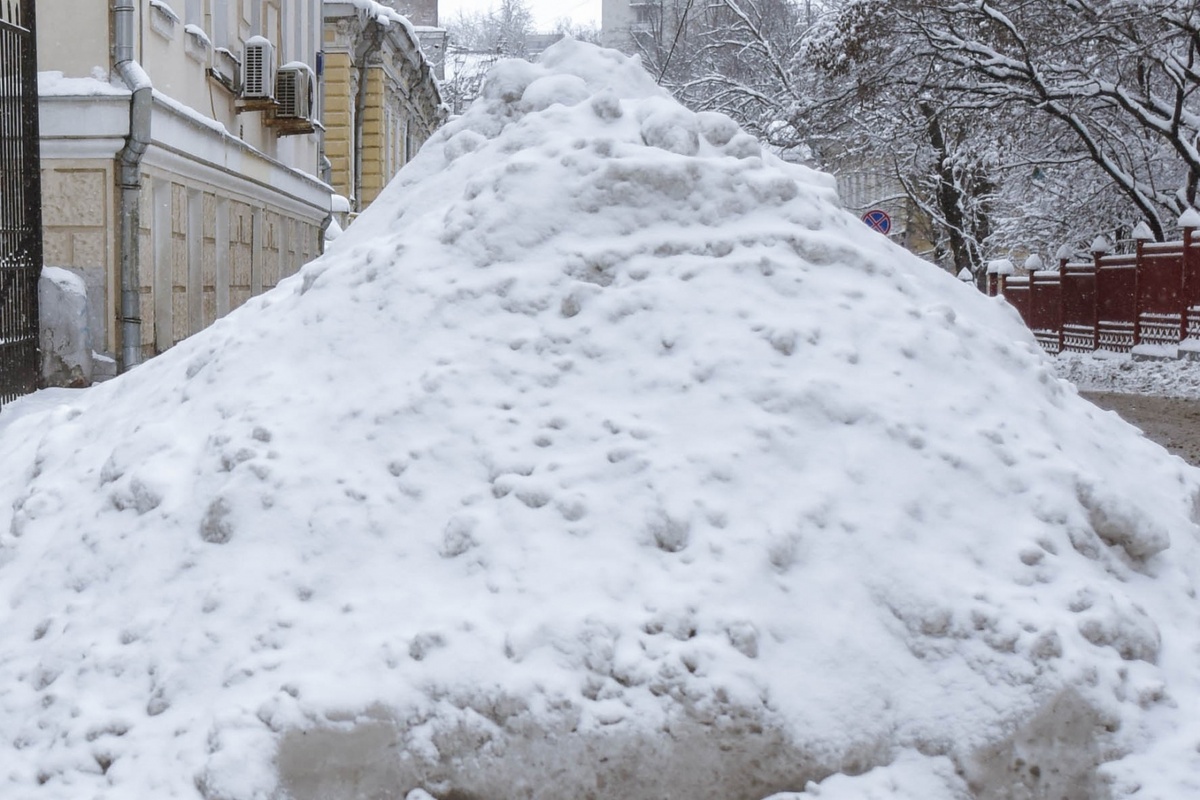     / Источник: Дарья Антонова © ИА Регнум