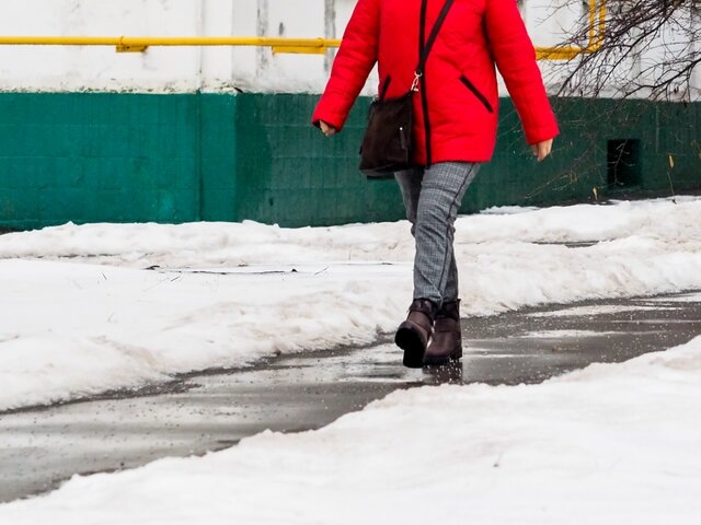    Фото: Москва 24/Лидия Широнина
