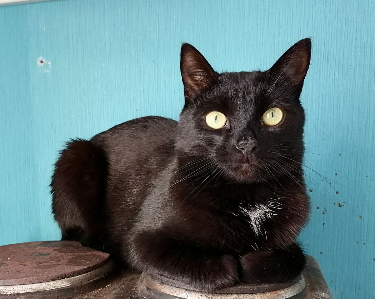 Шаман Фёдор. Фото автора