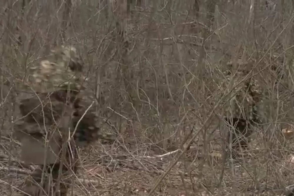    Как правило, операторы БПЛА сообщают стрелкам, где находится враг, или в каком районе перемещаются вэсэушники. Фото: Министерство обороны РФ