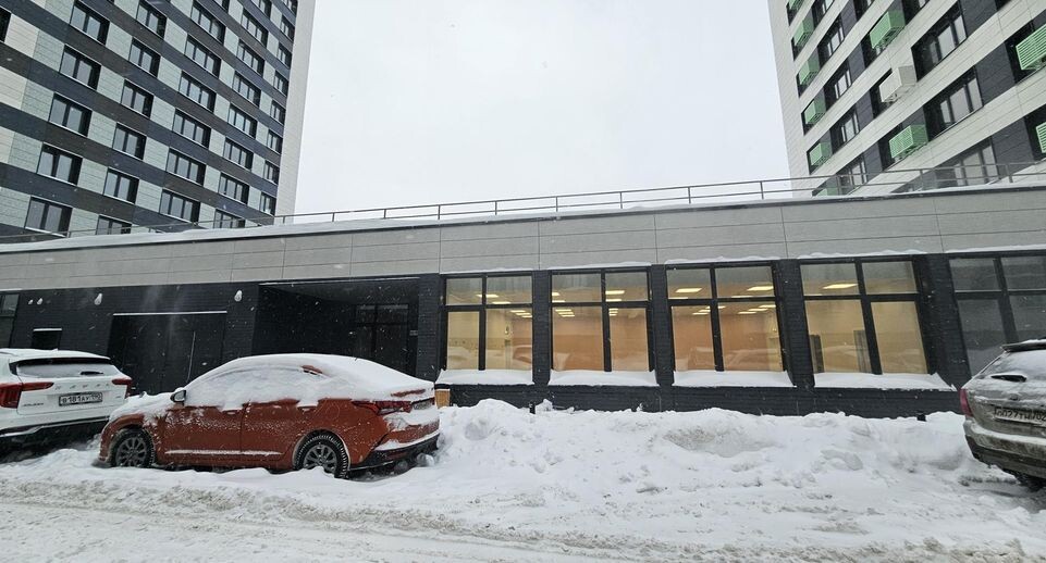    Вероника Горбачёва